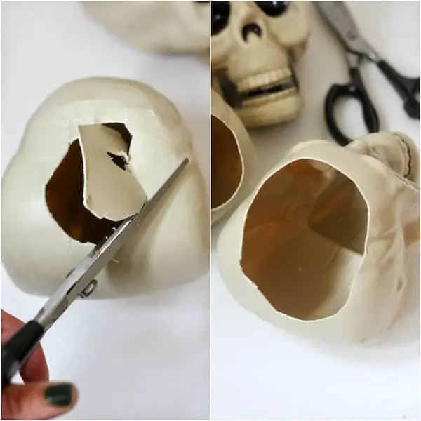 Cutting away the top of the skull with scissors