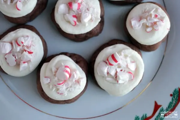 Chocolate Christmas Pudding Cookies