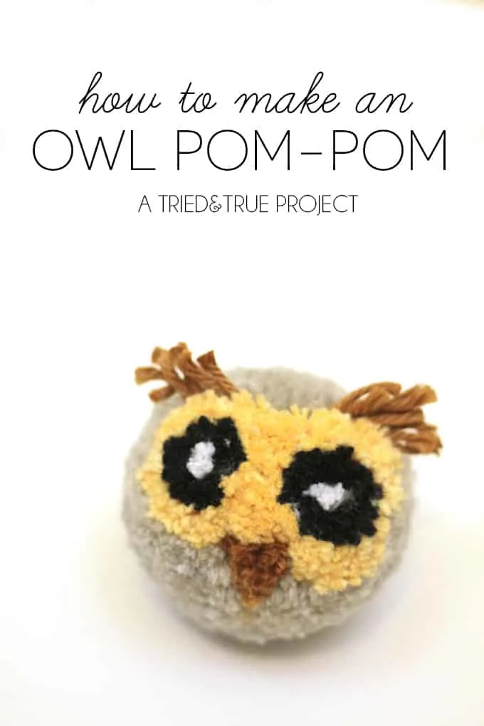 Pom-Pom Owl Craft