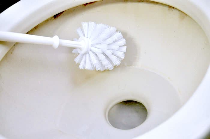 Homemade all purpose cleaner test on a toilet