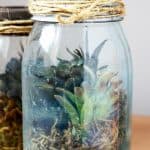 how to make a faux terrarium