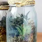 how to make a faux terrarium