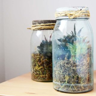 DIY faux succulent terrarium