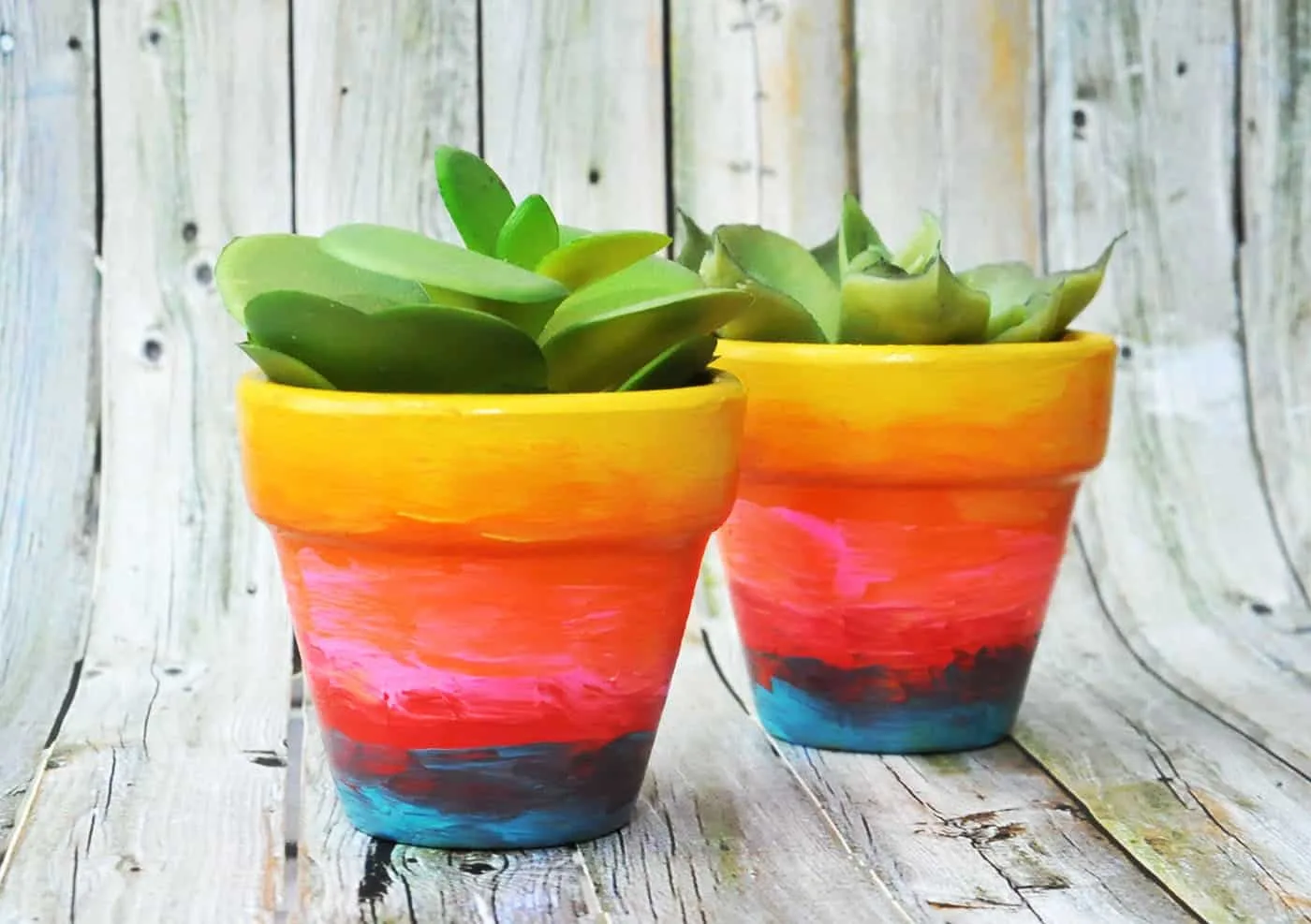 How to Paint Garden Pots and Planters