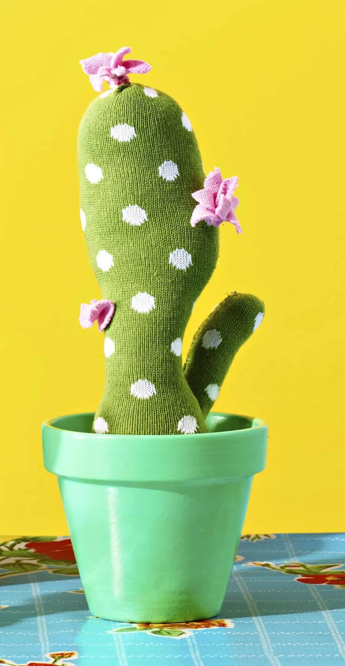 How to make a fake cactus using a sock