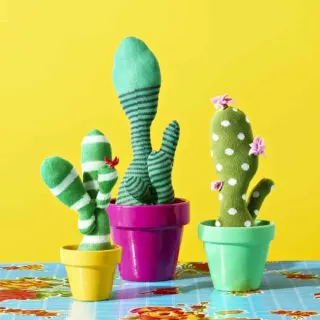 Learn how to make the most fun faux cacti ever using socks! These are perfect for those castaways without a match. You'll love your quirky garden!