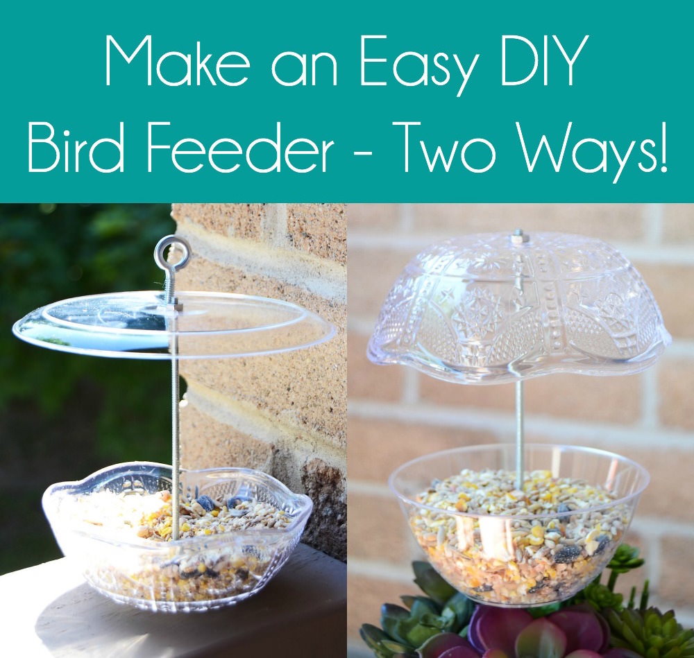 DIY bird feeder two ways