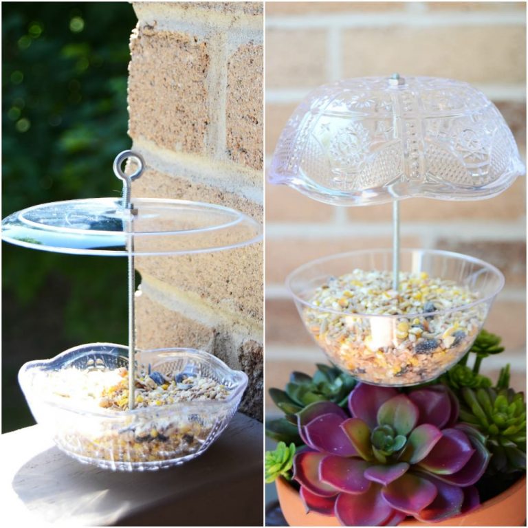 Make a bird feeder