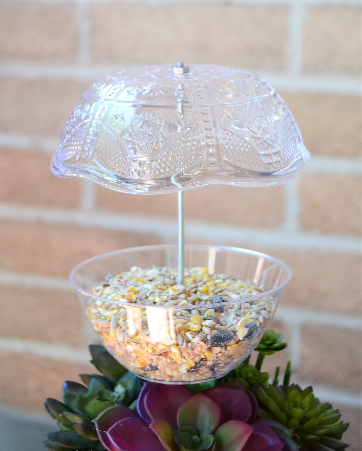 DIY bird feeder with plastic plates
