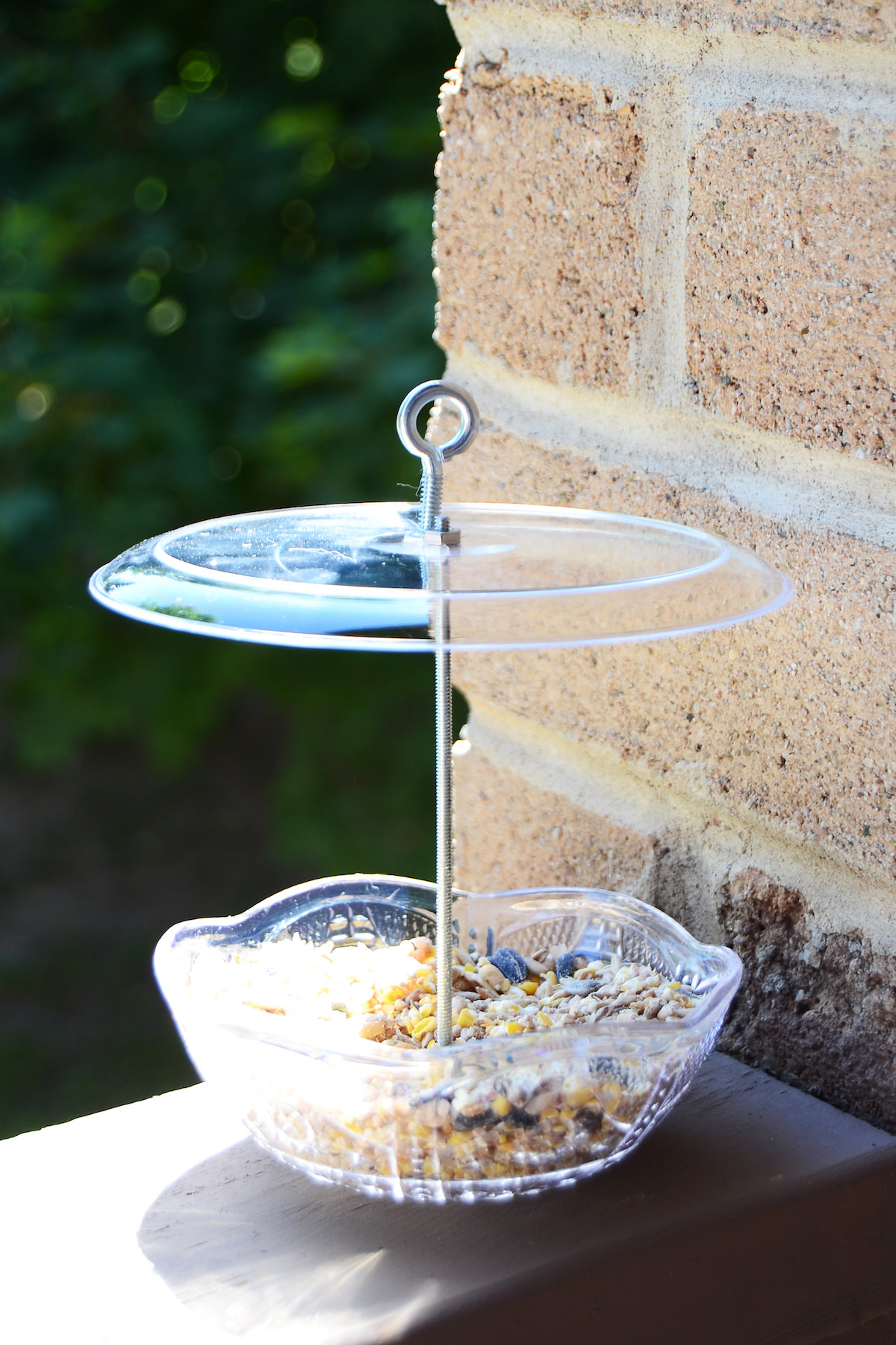 DIY hanging bird feeder