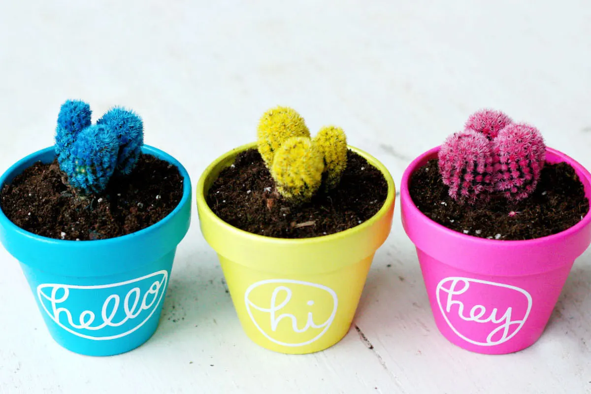 How to make painted cactus pots