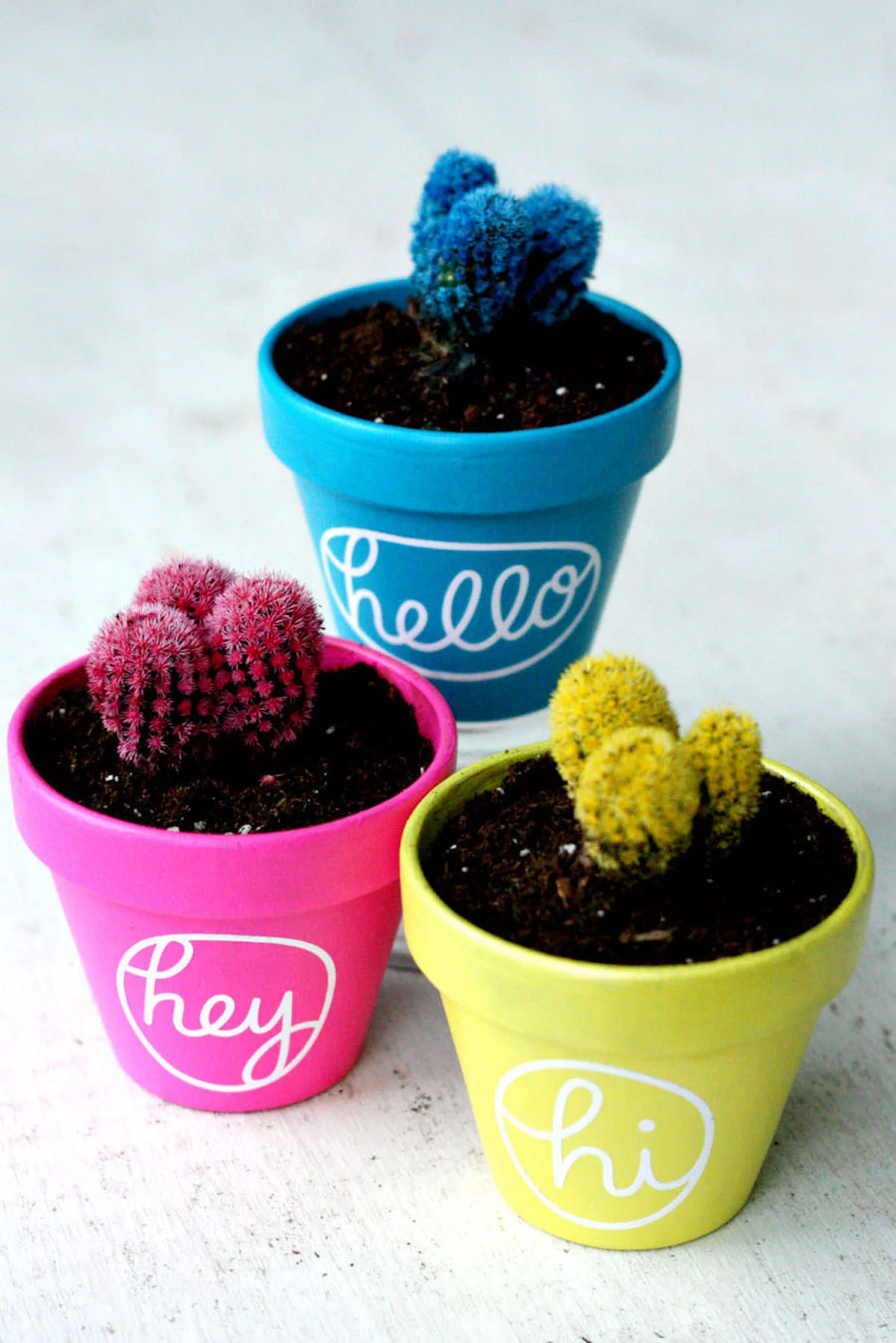 Painted clay pots that have colorful cacti planted in them