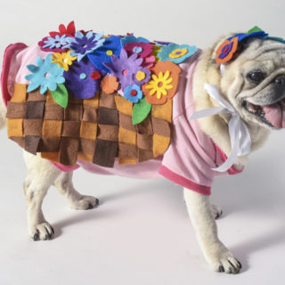 Dog Flower Basket Costume for Halloween