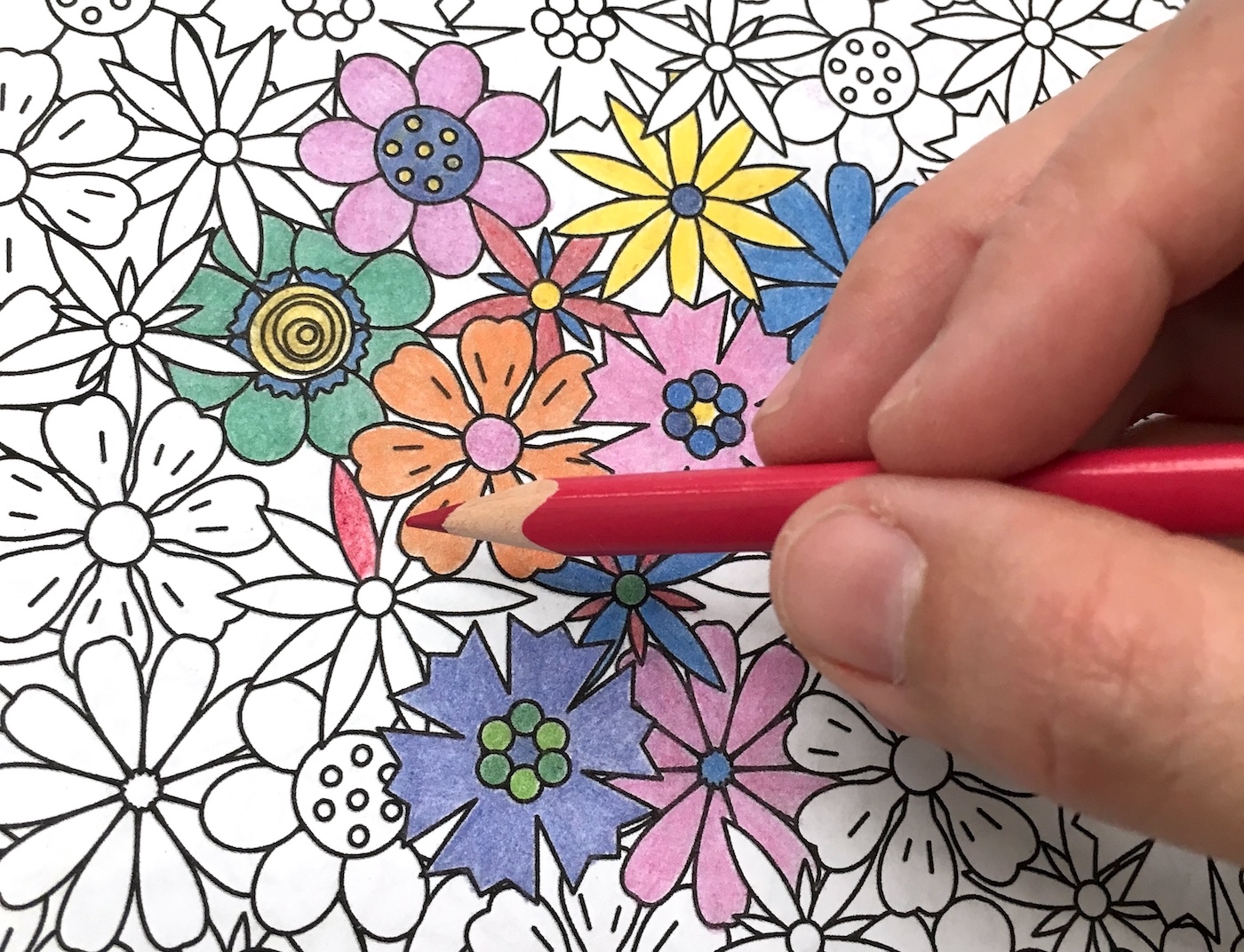 woman's hand coloring in a coloring book with colored pencils