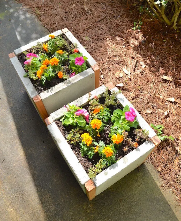 paver planter boxes
