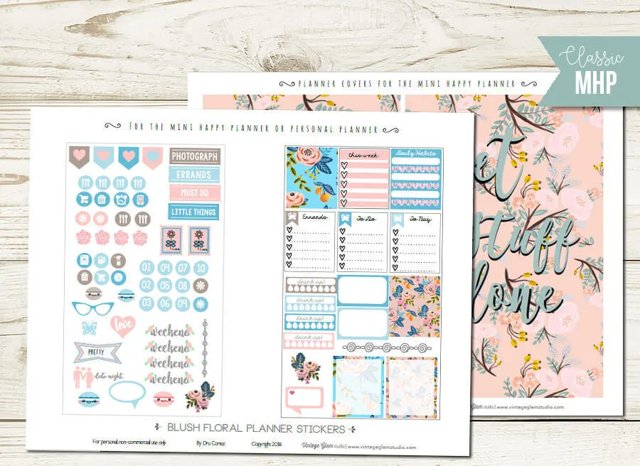 Blush Floral Mini Planner Stickers