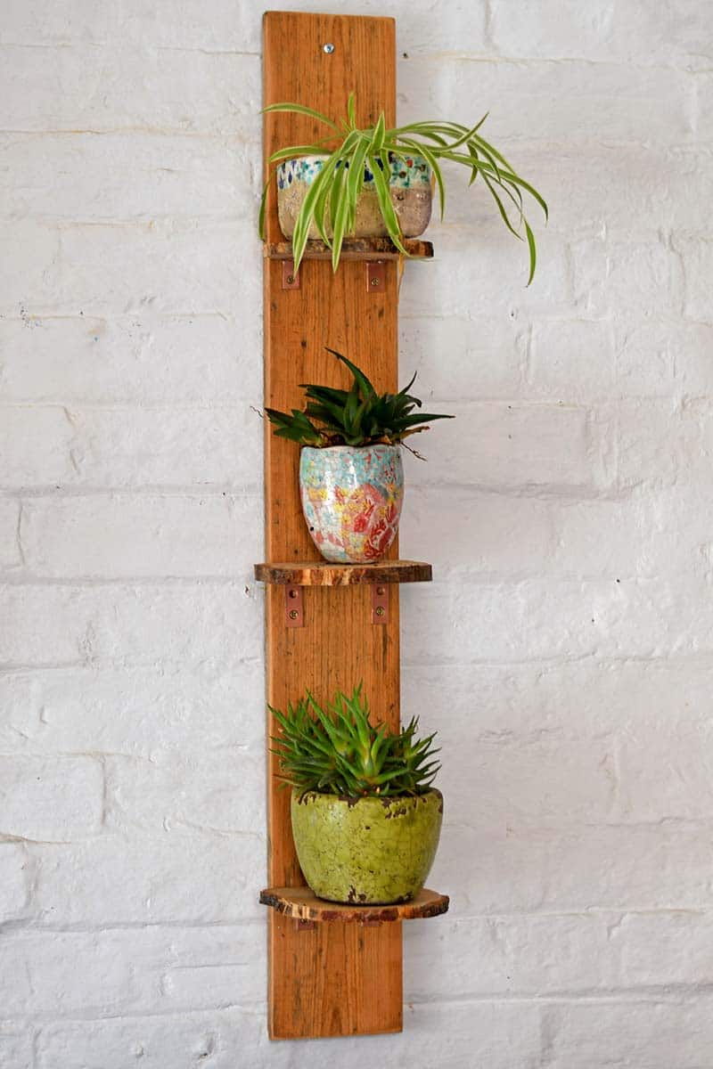 3-tier plant shelves