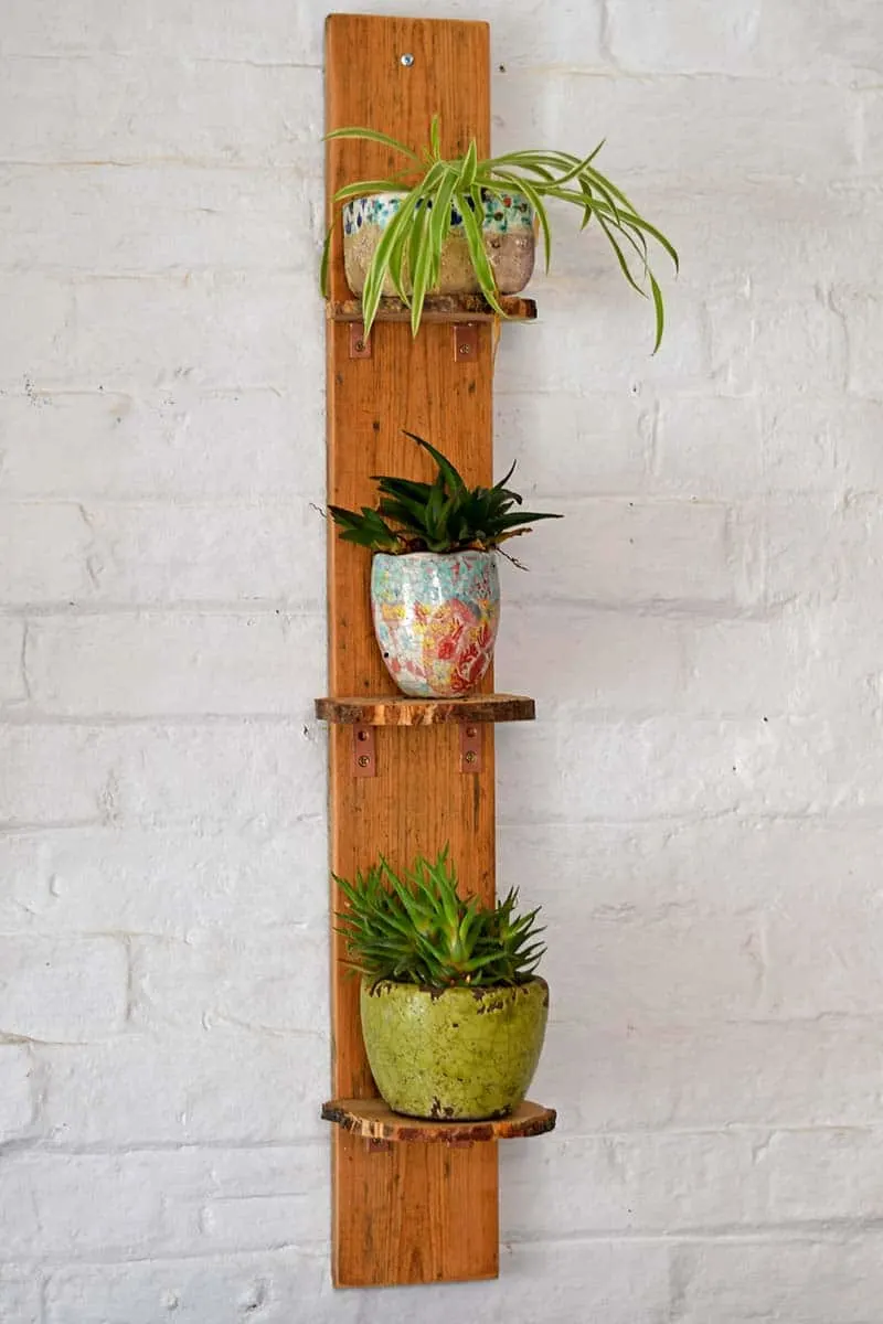 3-tier plant shelves