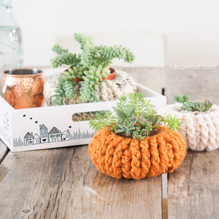 Crochet Succulent Pumpkin Planter