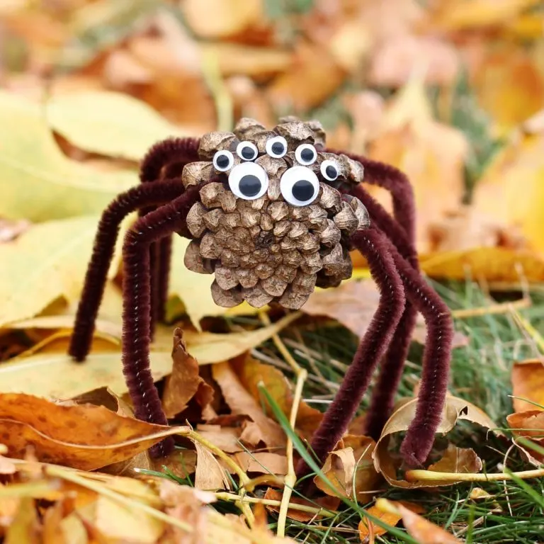 Pine Cone Spider Craft