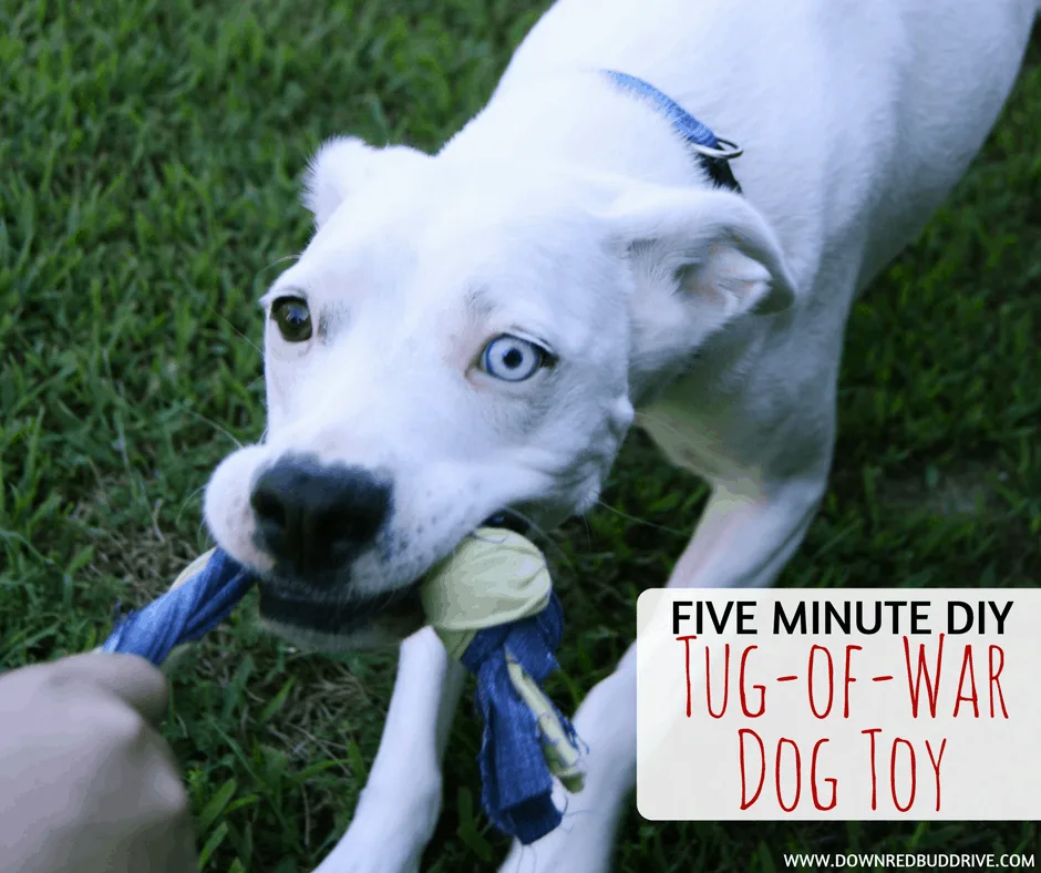 DIY tug of war dog toy