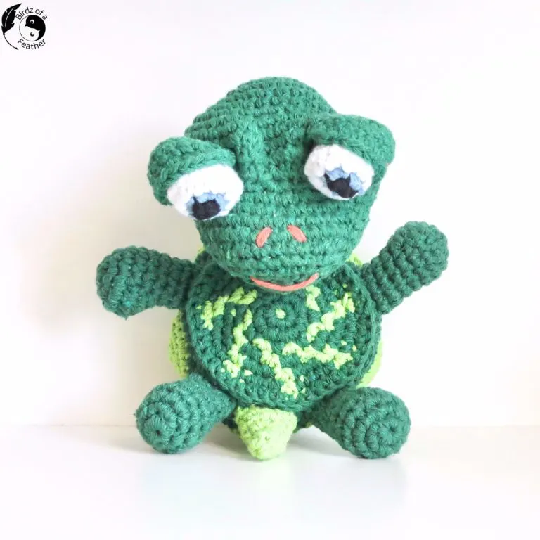 Turtle WebCam Cozy Amigurumi Pattern