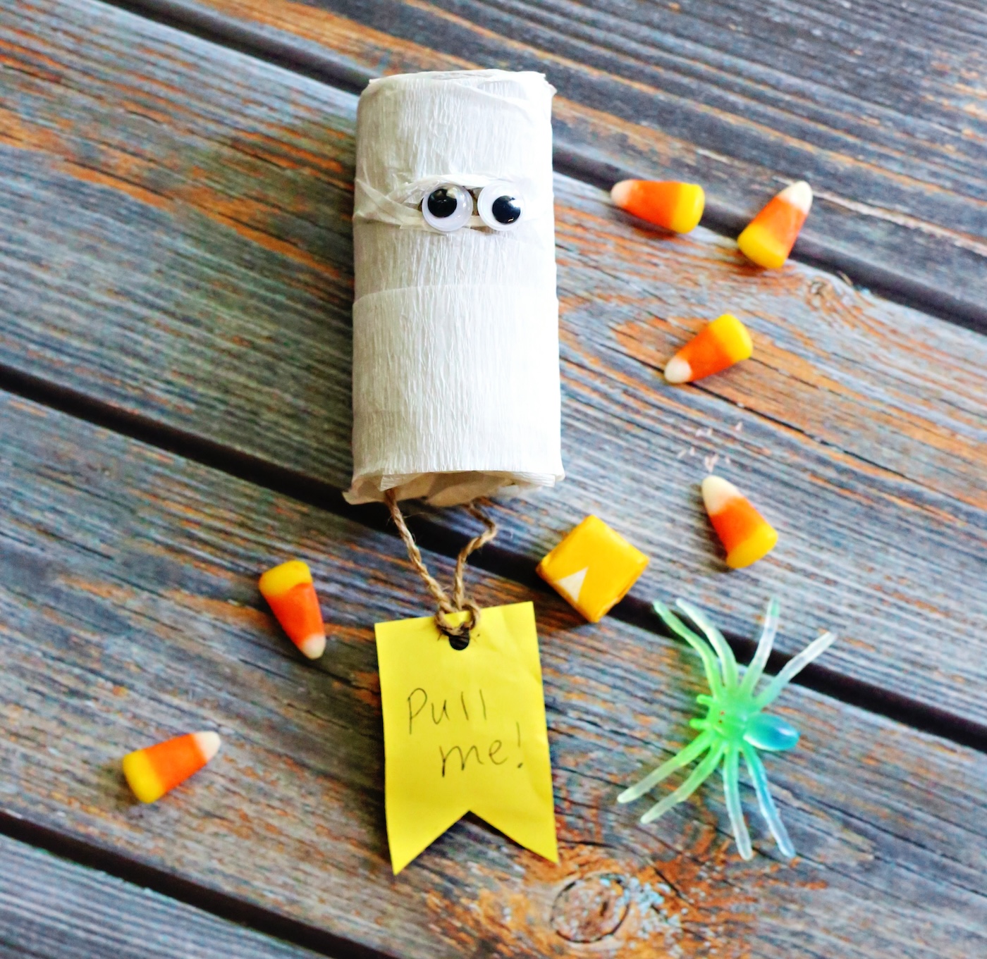 toilet paper roll mummy pinata
