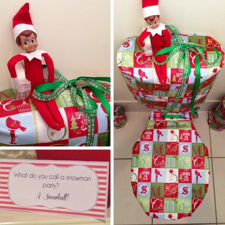 Gift Wrapped Toilet