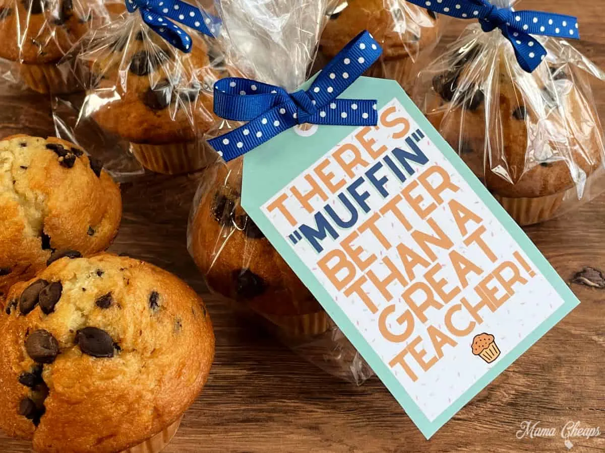 Muffin teacher gift