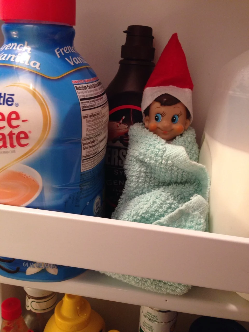 Snuggled Up in the Fridge