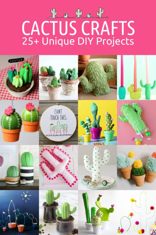 Unique DIY Cactus Crafts: No Watering Required! - DIY Candy