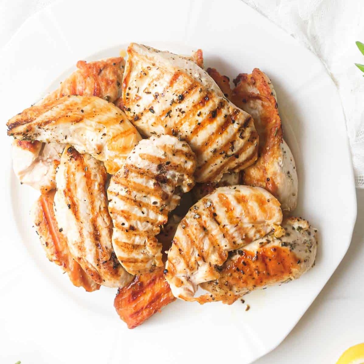 grilled lemon oregano chicken tender recipe