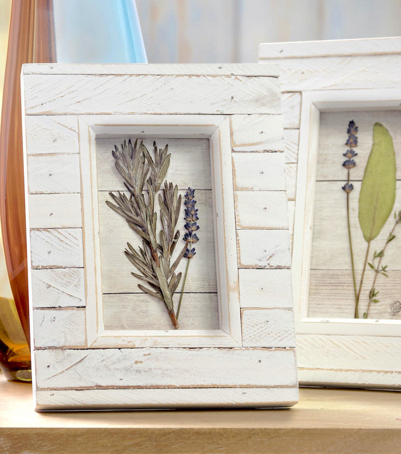 DIY pressed flower art with mod podge