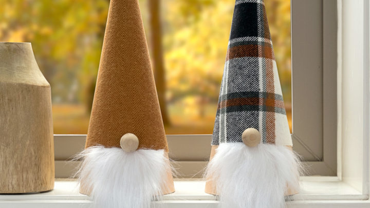 Gnomes Fall Decor: Elevate Your Autumn Aesthetic