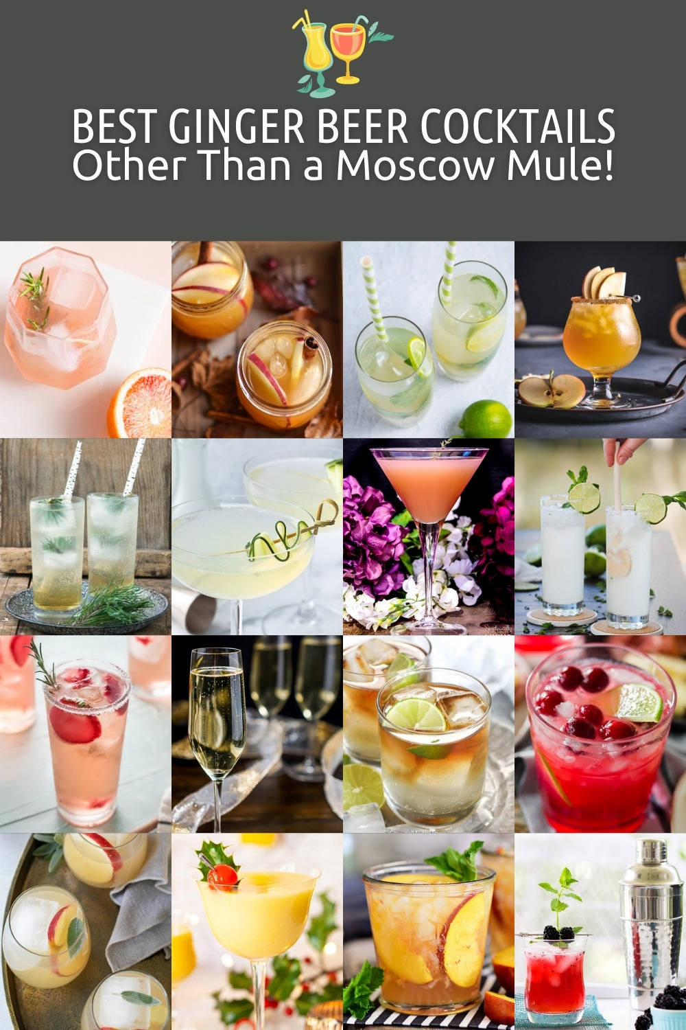 20+ Moscow Mule Variations: The BEST Moscow Mule Cocktail Recipes
