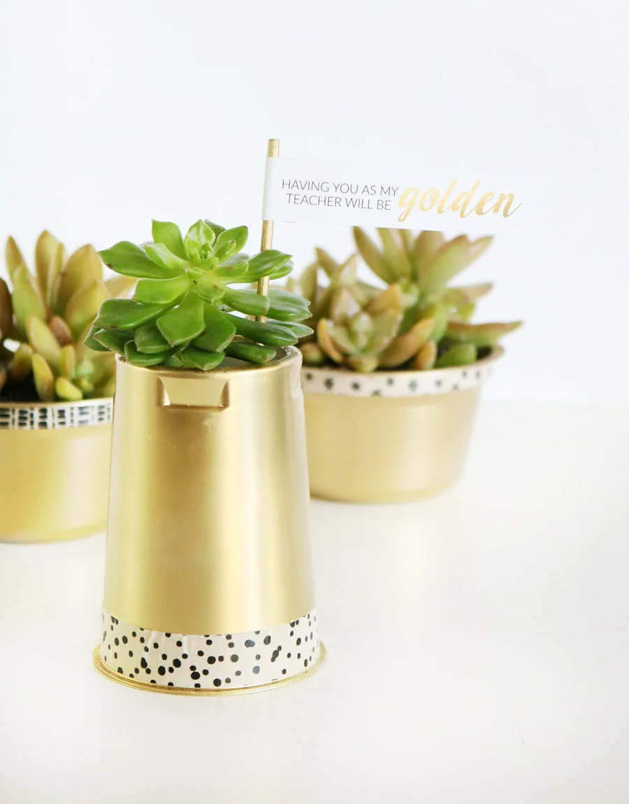 DIY Back to School Teacher gift succulent gold containers