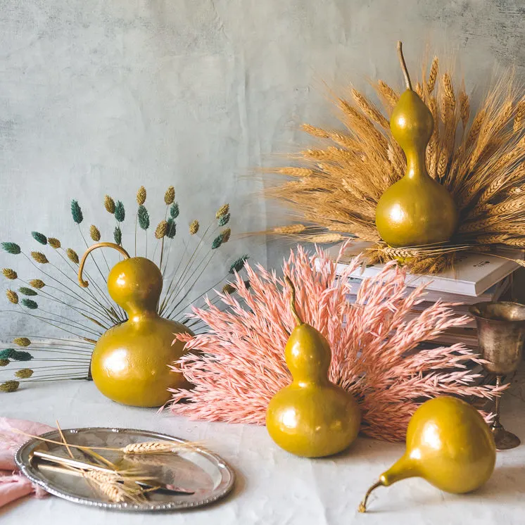 Dried flower gourd turkeys