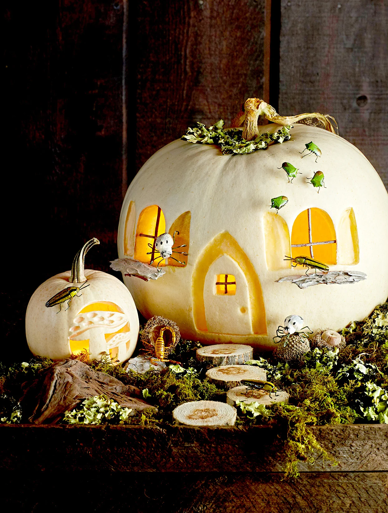 bug house cottage pumpkin carving