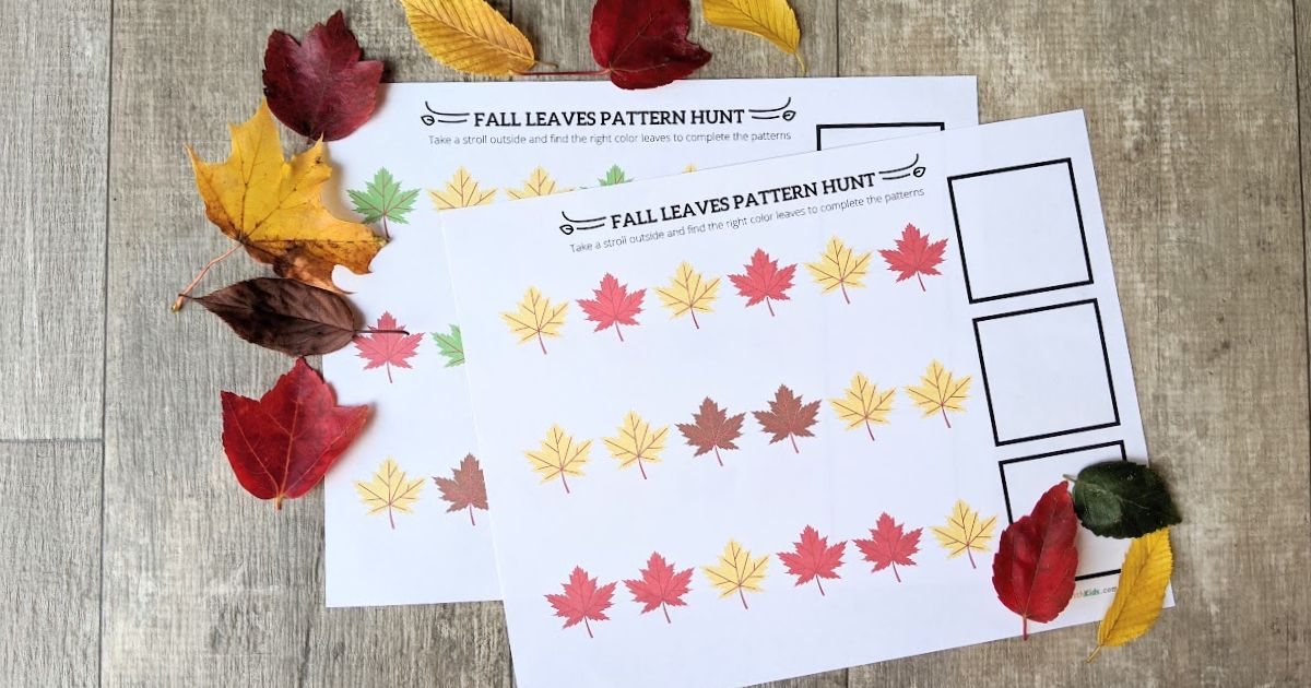 Fall leaves pattern activity