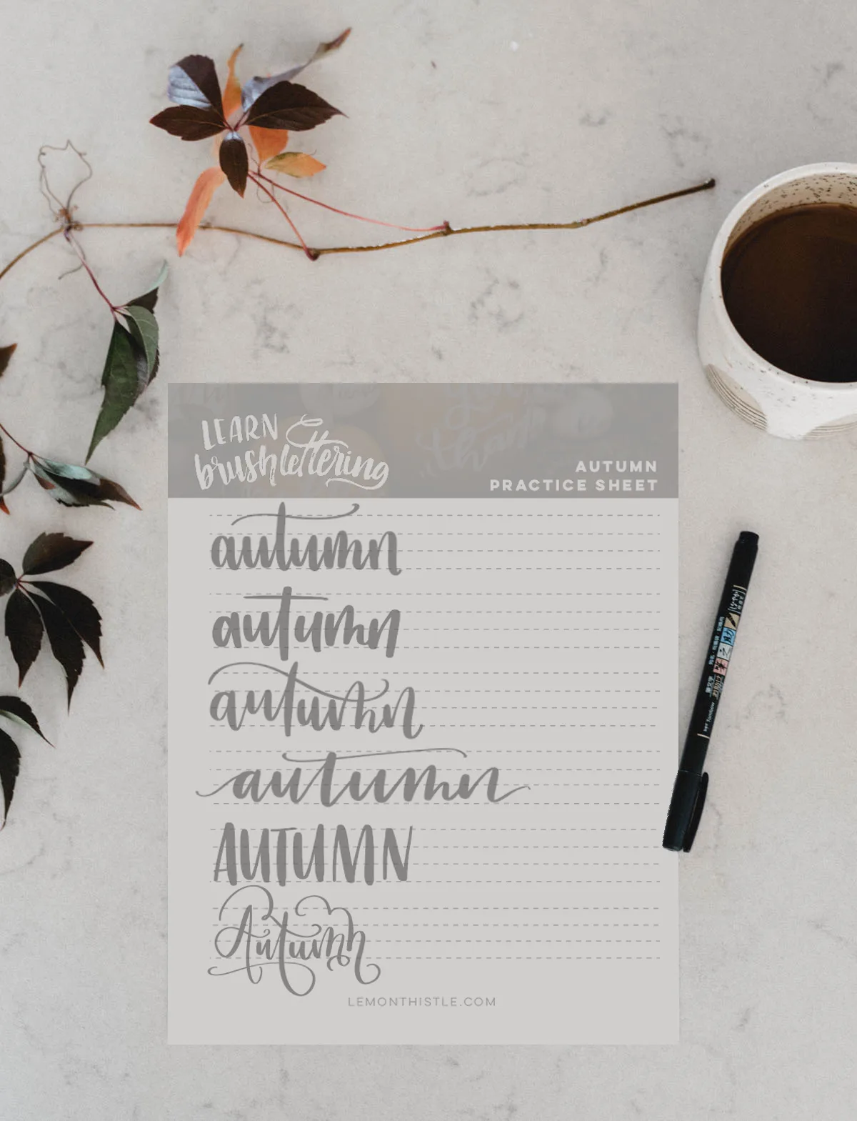 autumn practice sheet hand lettering