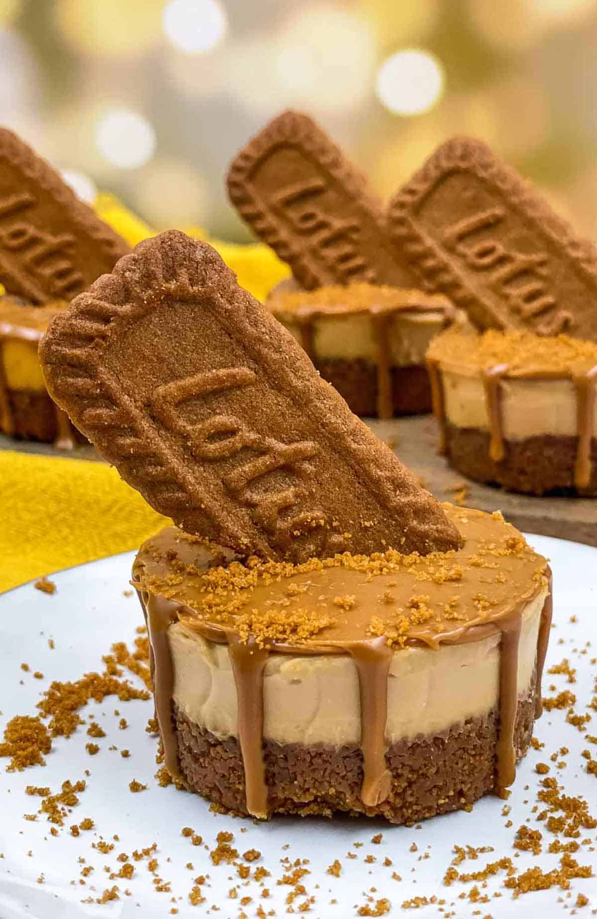 Mini biscoff cheesecakes