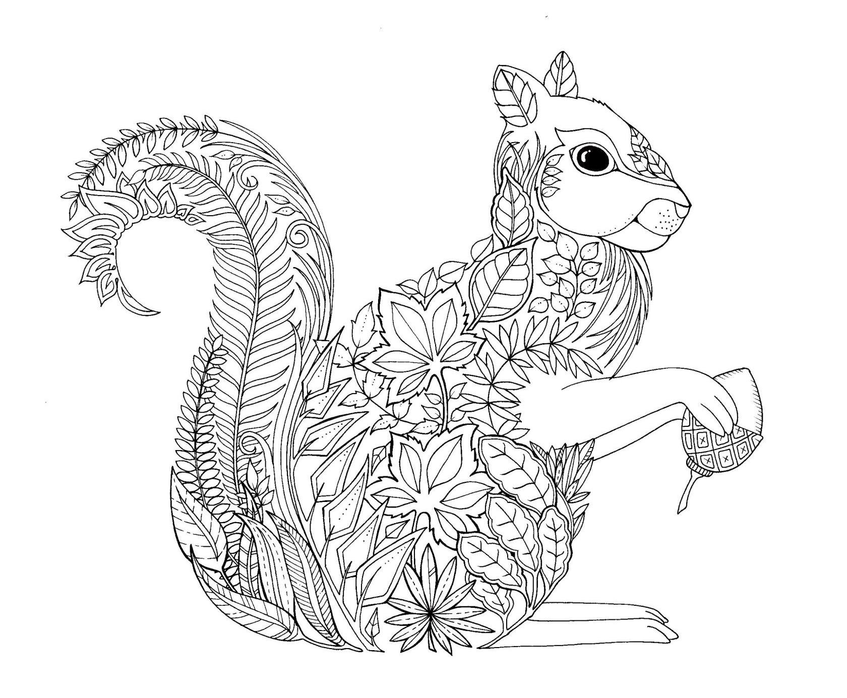 Fall Squirrel coloring page