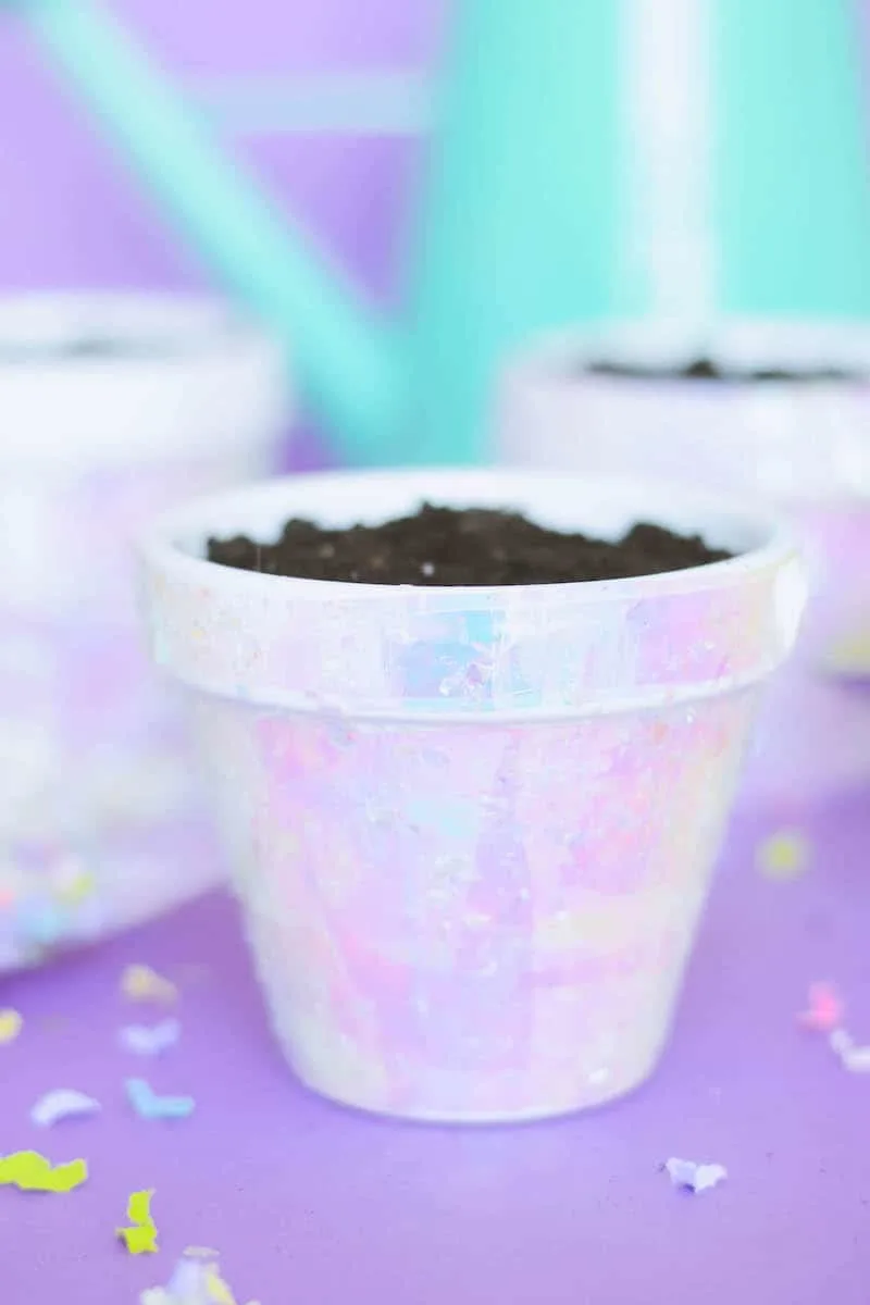 Unicorn Inspired Iridescent Plant Pot