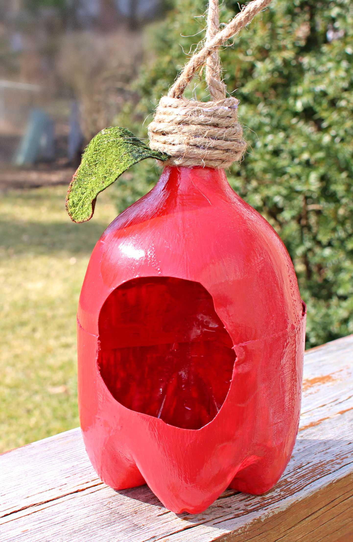 Plastic Bottle Bird Feeder