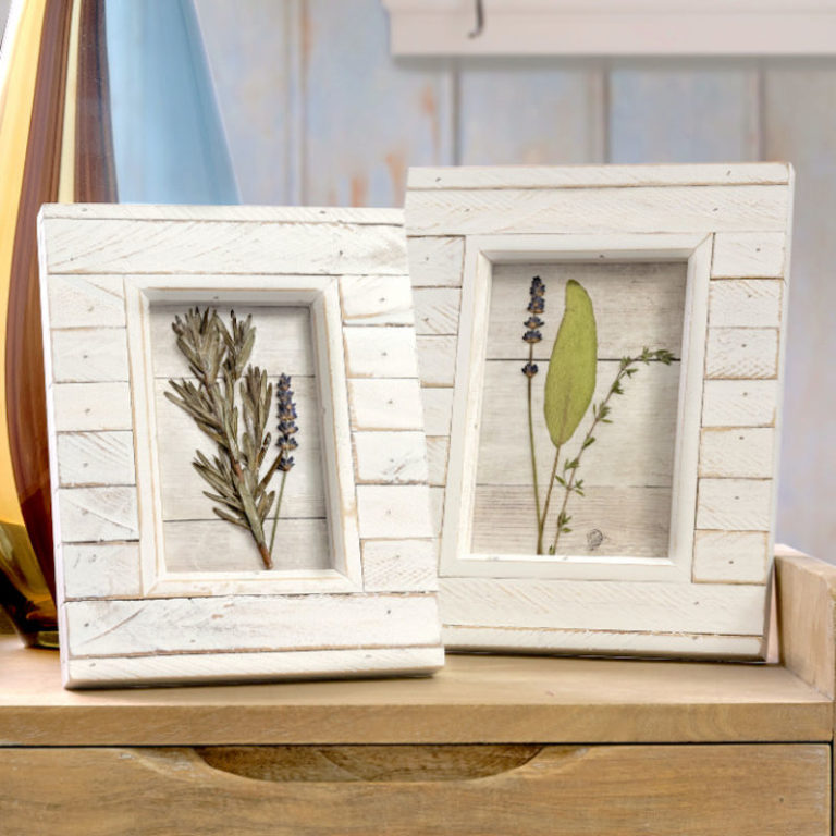 diy pressed flower framed art