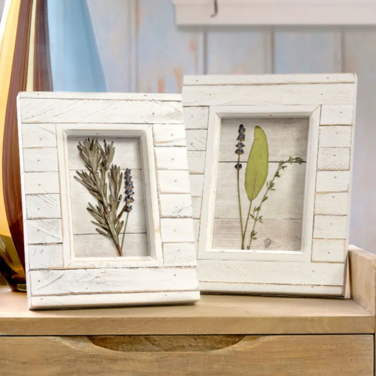 diy pressed flower framed art