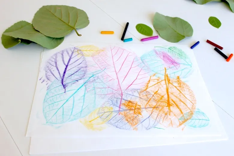 Leaf rubbing collages