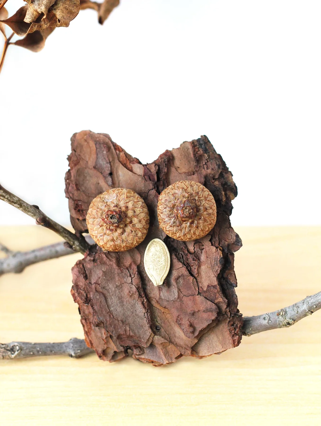 nature owl craft for kids