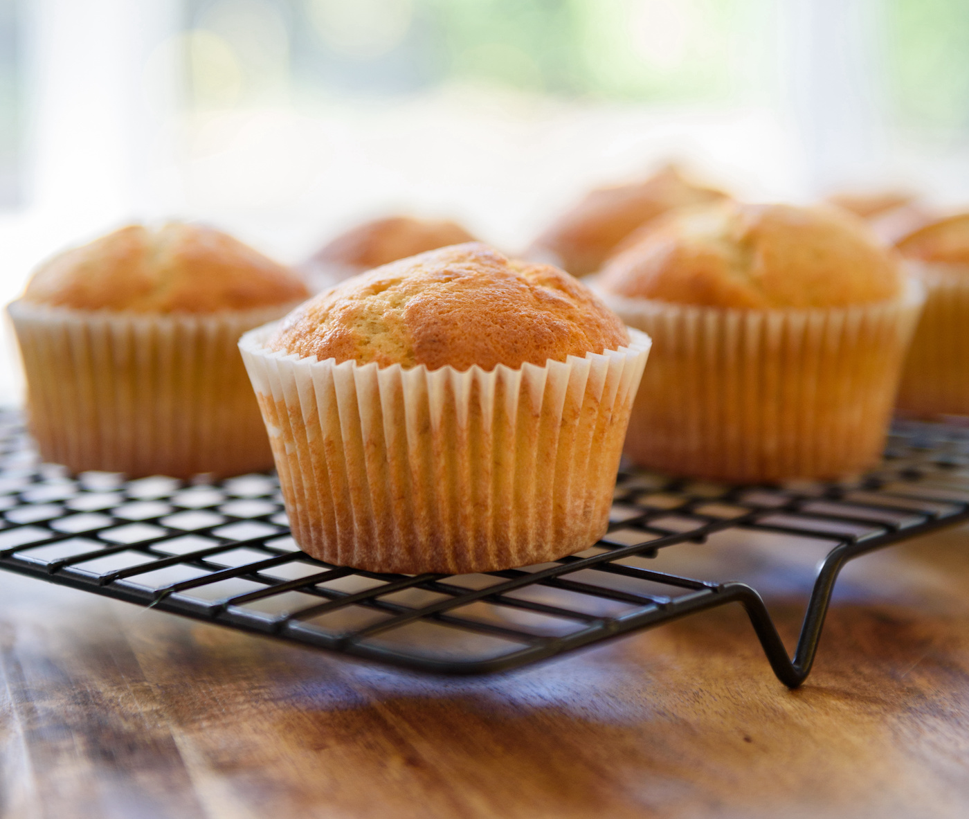 Undecorated plain cupcakes cooling on wire cake rack, selective focus