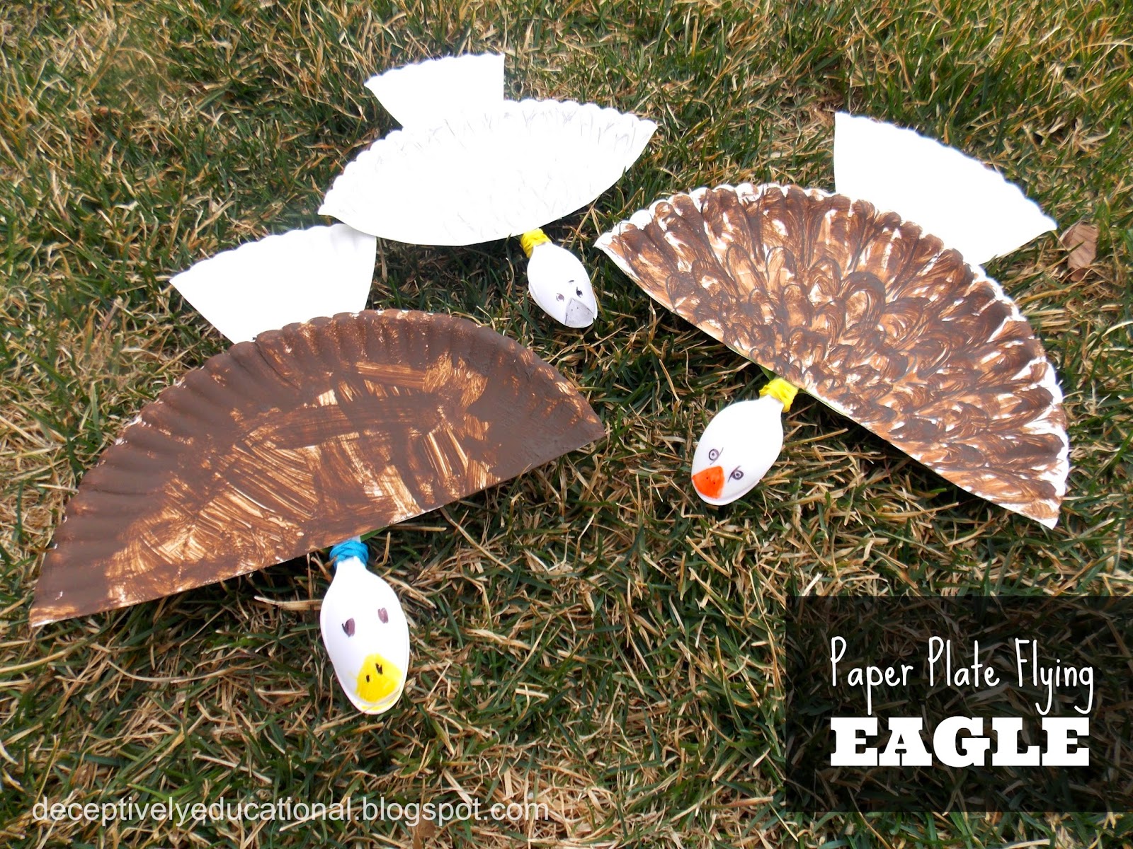 Paper Plate Flying Eagle Craft